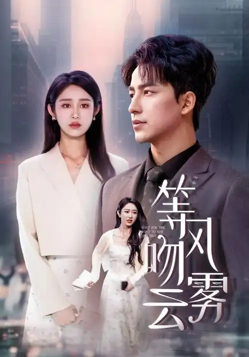 777影视年代群像剧长夜将明海报
